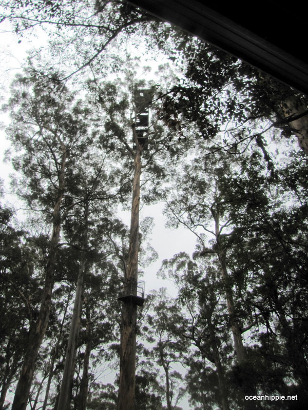 Thumbnail Photo